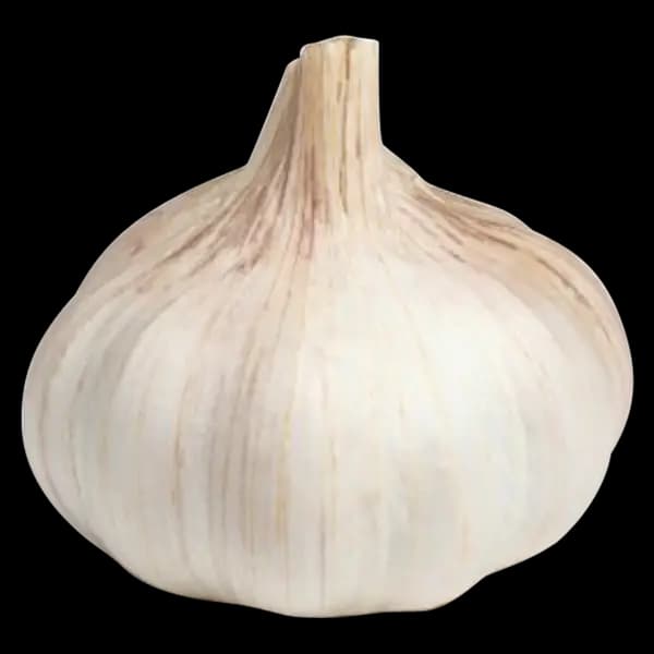 Ail