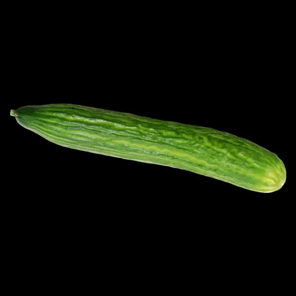 Concombre