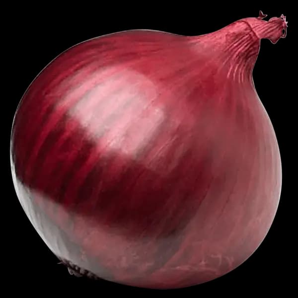 Oignon rouge