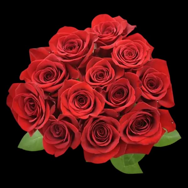 Bouquet de Roses Rouges (douzaine)